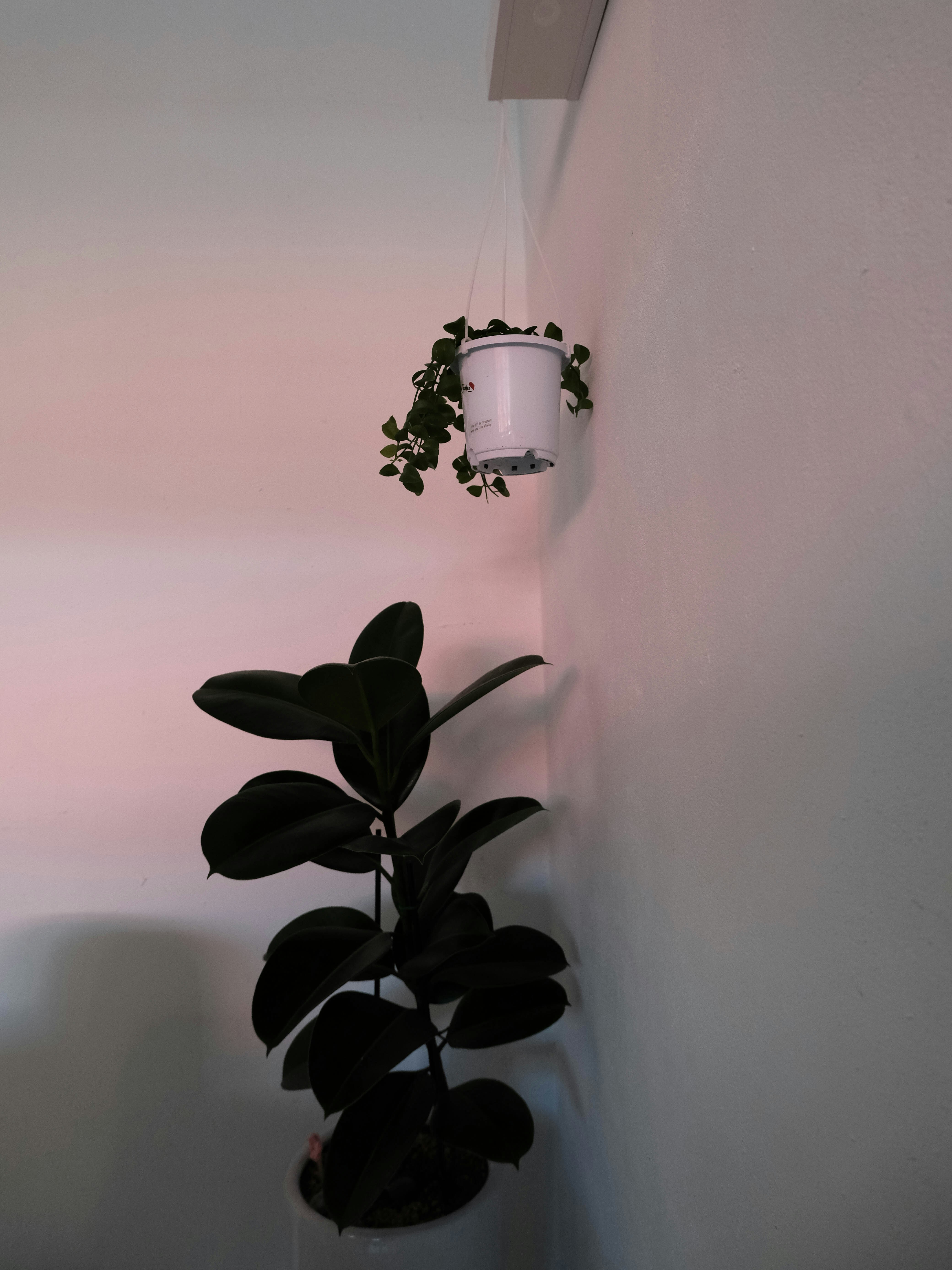 Photo by birdmee_pic