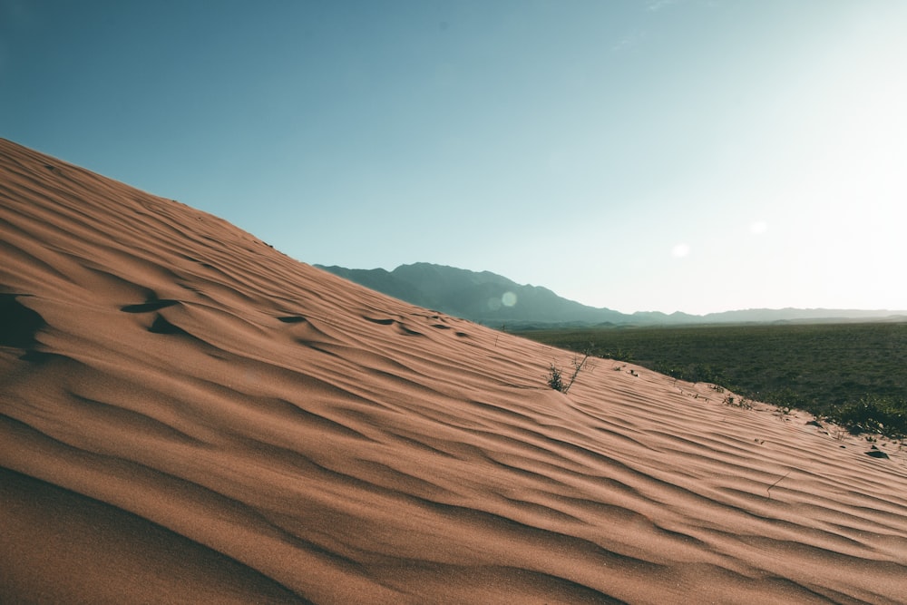 brown sand under blue sky during daytime