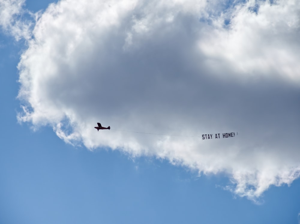 airplane in the sky during daytime