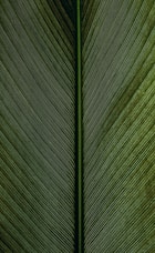 green metal rod on black and white pinstripe textile