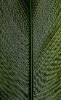 green metal rod on black and white pinstripe textile