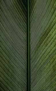 green metal rod on black and white pinstripe textile