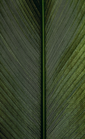 green metal rod on black and white pinstripe textile