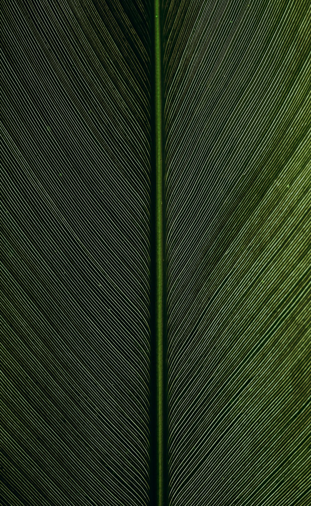 green metal rod on black and white pinstripe textile