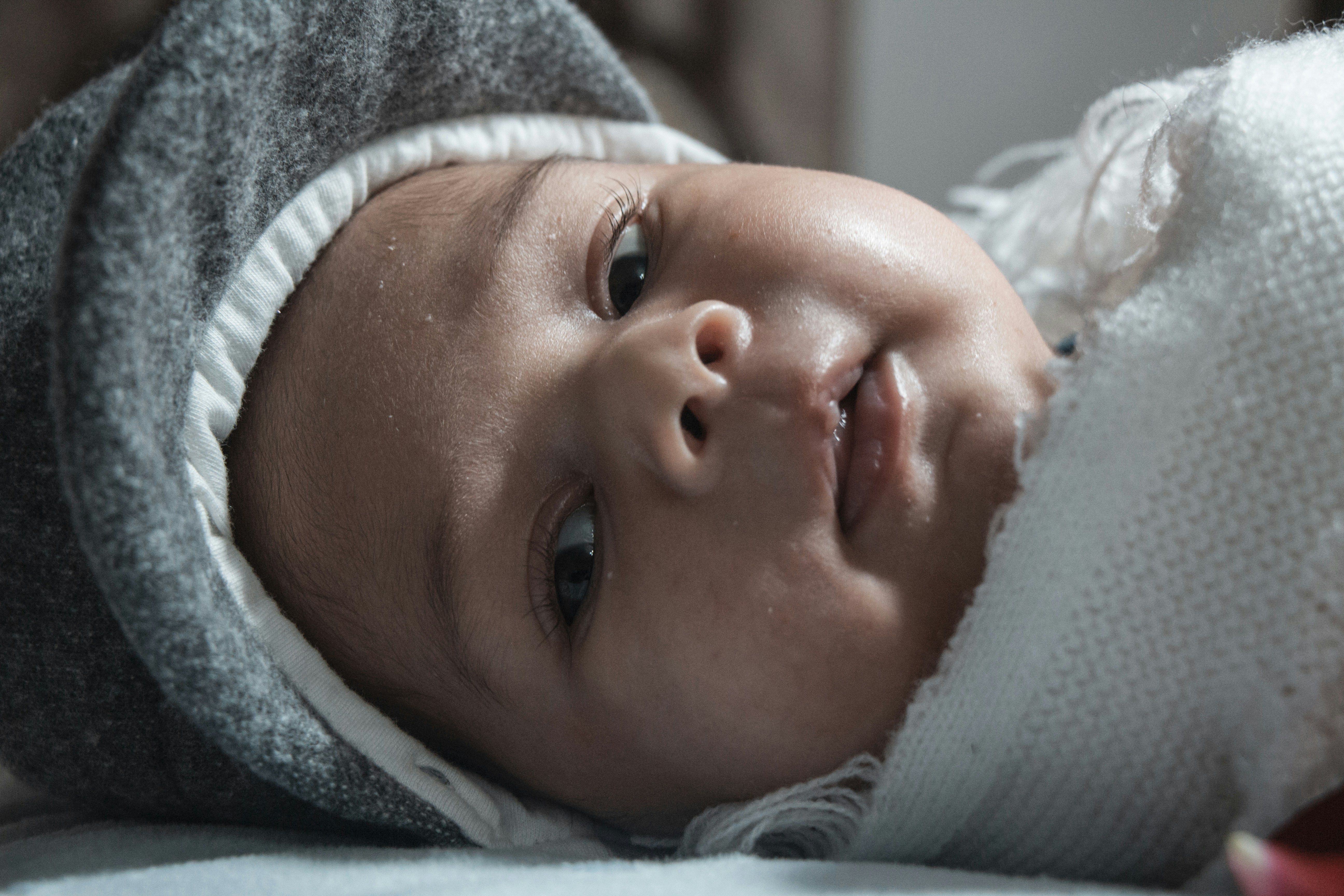 A due mesi di vita i bambini già riescono a categorizzare gli oggetti post image