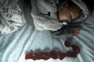 A baby is peacefully sleeping on a light blue textured blanket, wearing pajamas with a cute animal print. The child is wrapped in a soft, gray hooded blanket. A pacifier is gently held in the sleeping baby's mouth. Red rose petals are scattered beside the baby on the bedding.