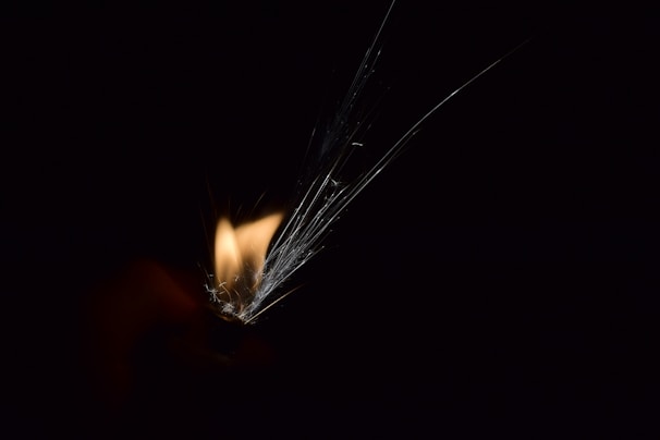 A mystical wand emitting flames in a dark setting.