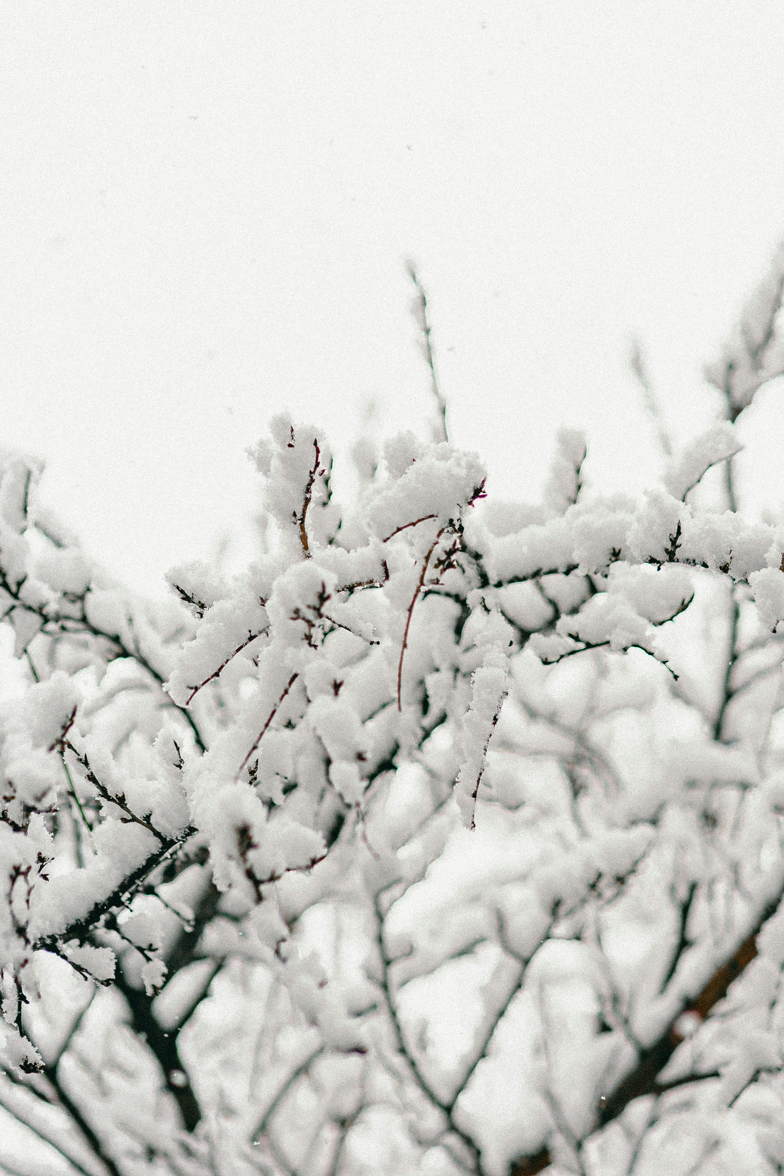 Photo by eugenechystiakov