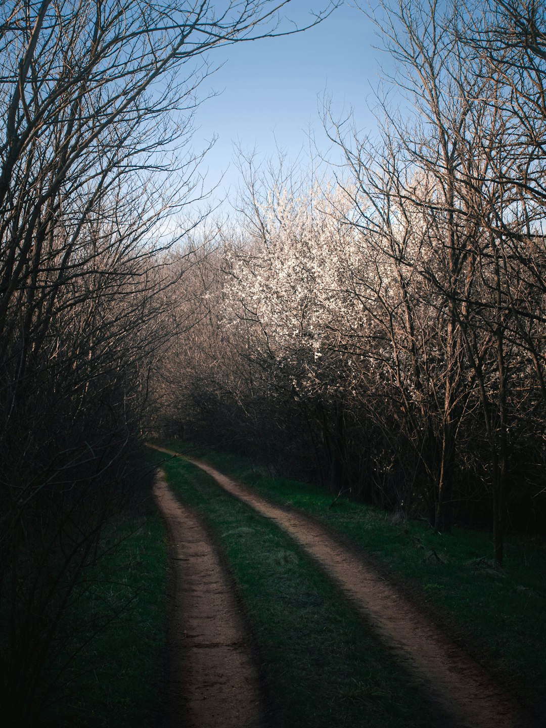 Natural landscape photo spot Vönöck Sümeg