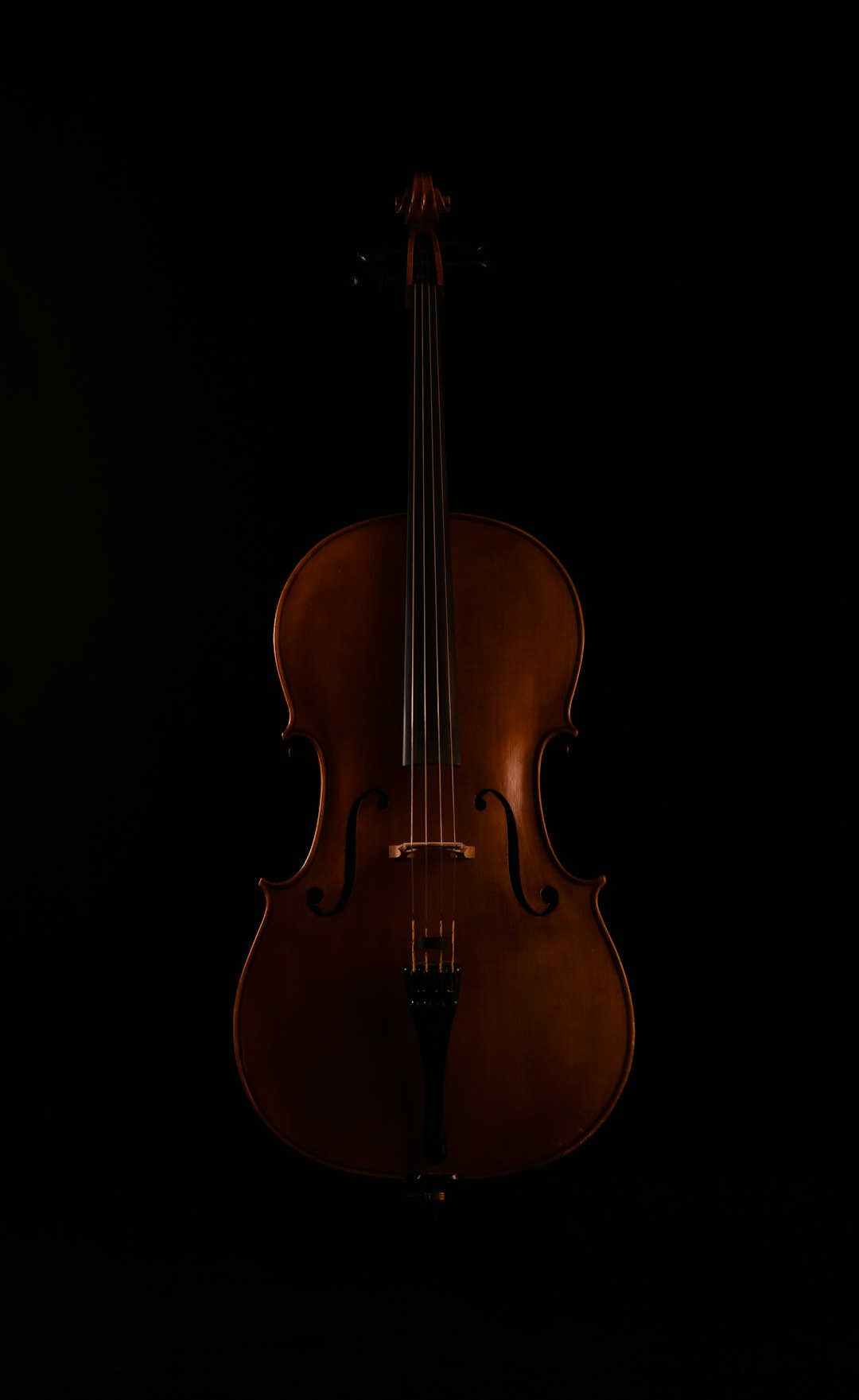 brown violin with black background