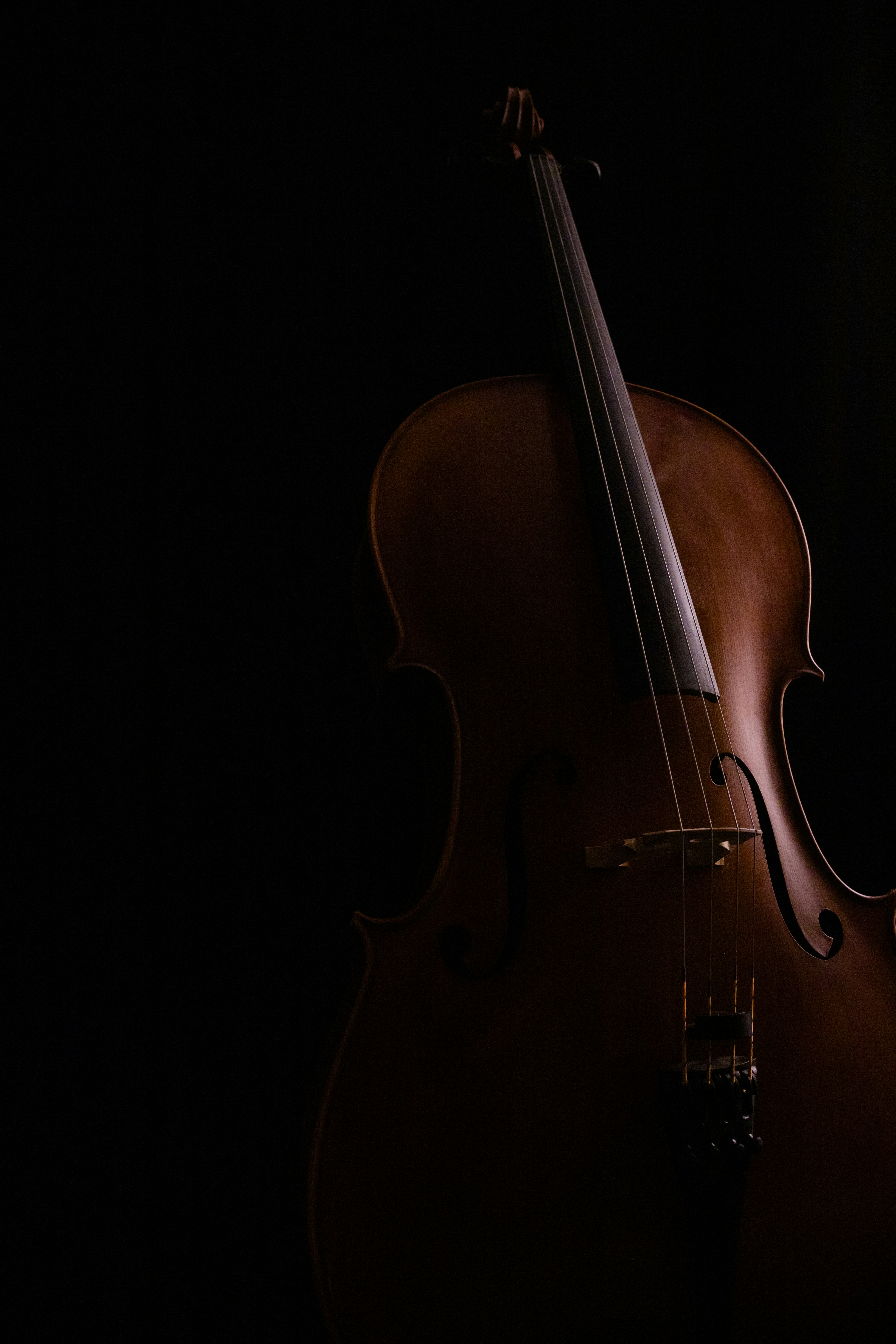 brown violin with black background