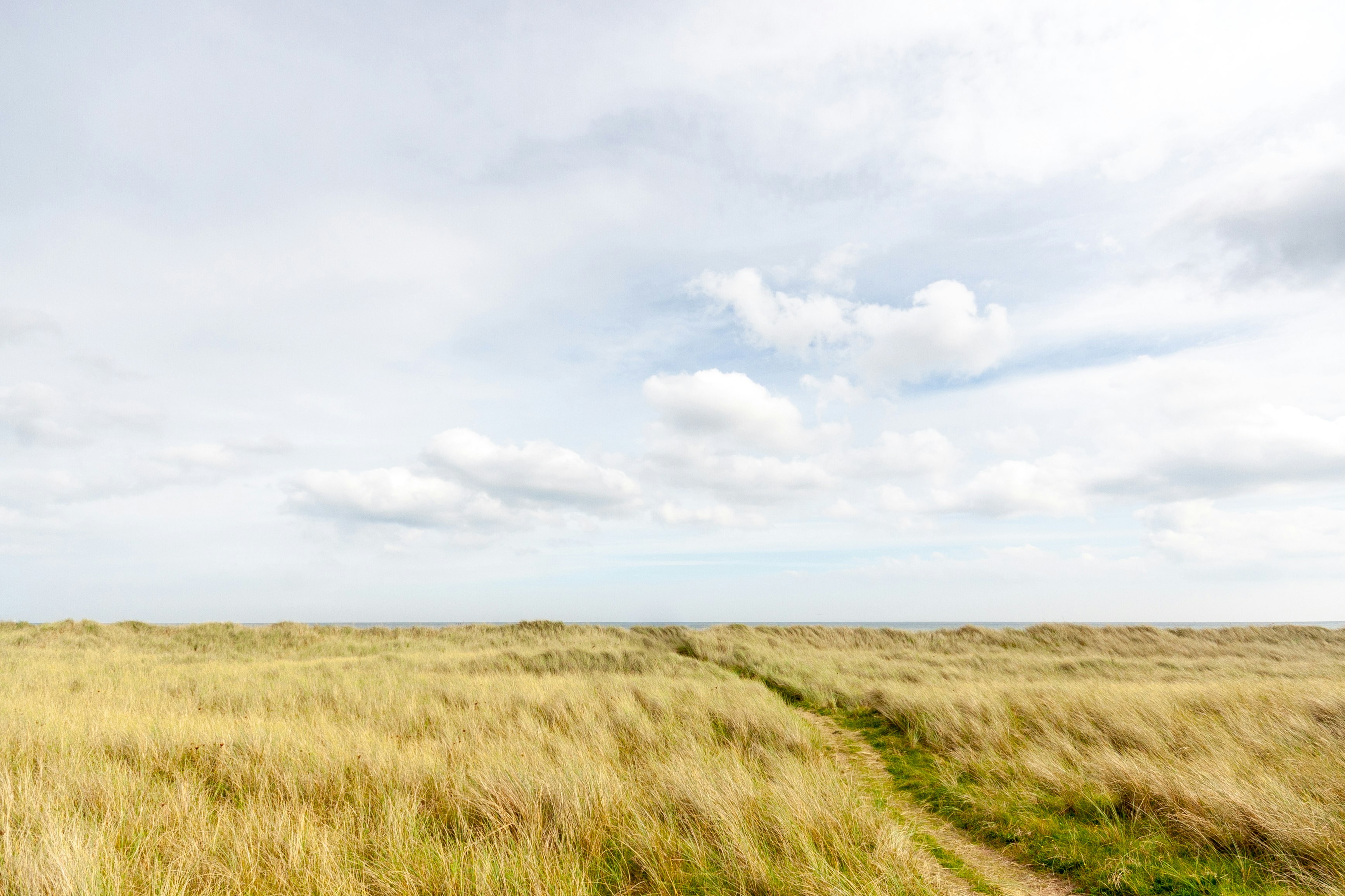 green grass field under white clouds during daytime