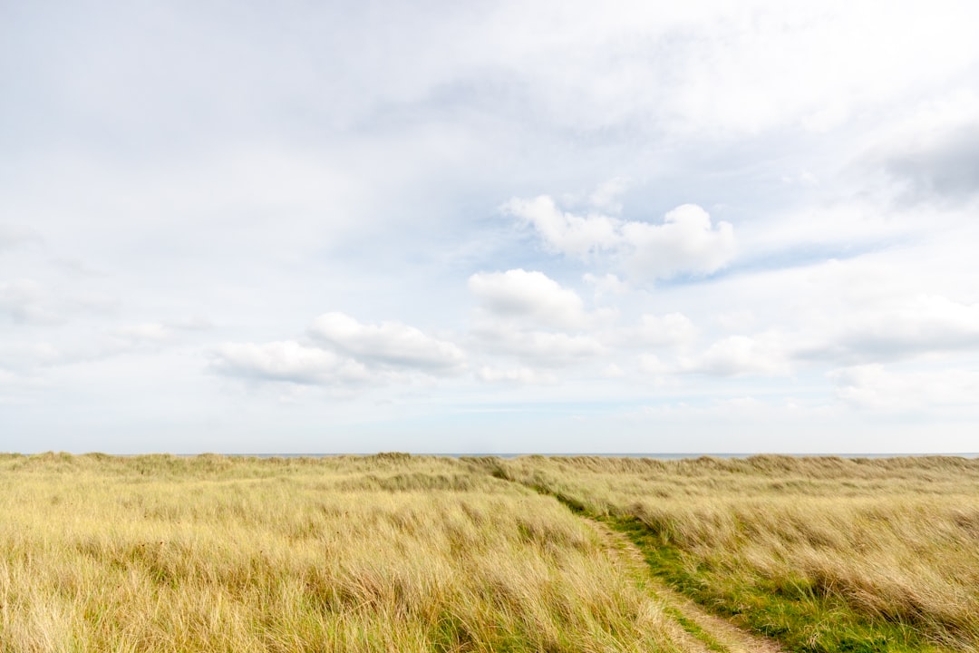 Plain photo spot Mornington Wicklow