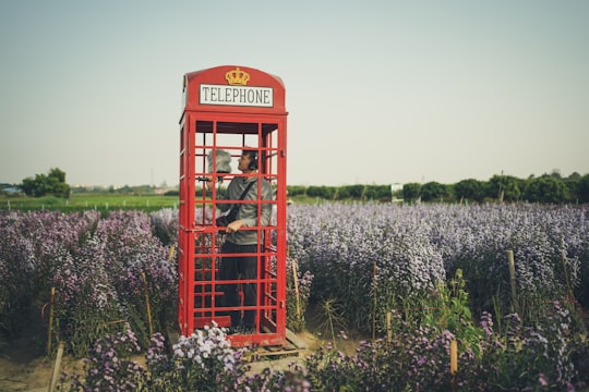 red telephone booth on green grass field during daytime in Chiang Mai Thailand