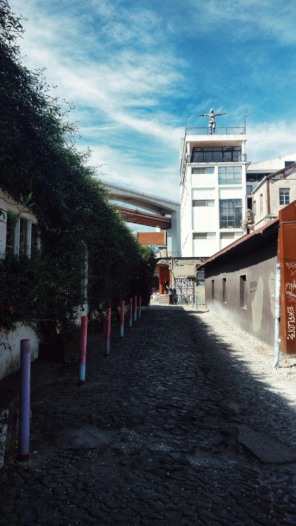 people walking on street during daytime