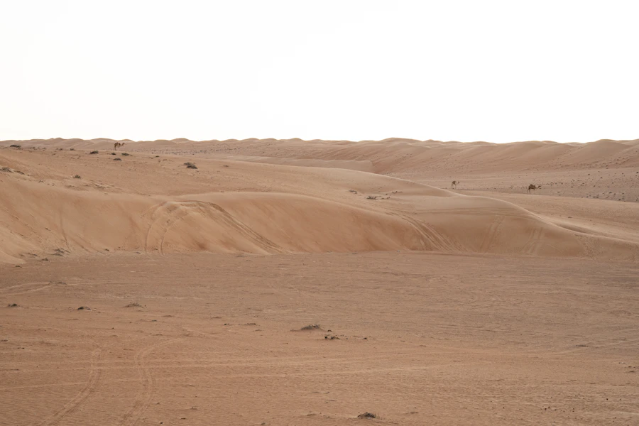 رمال الشرقية من الجنوب