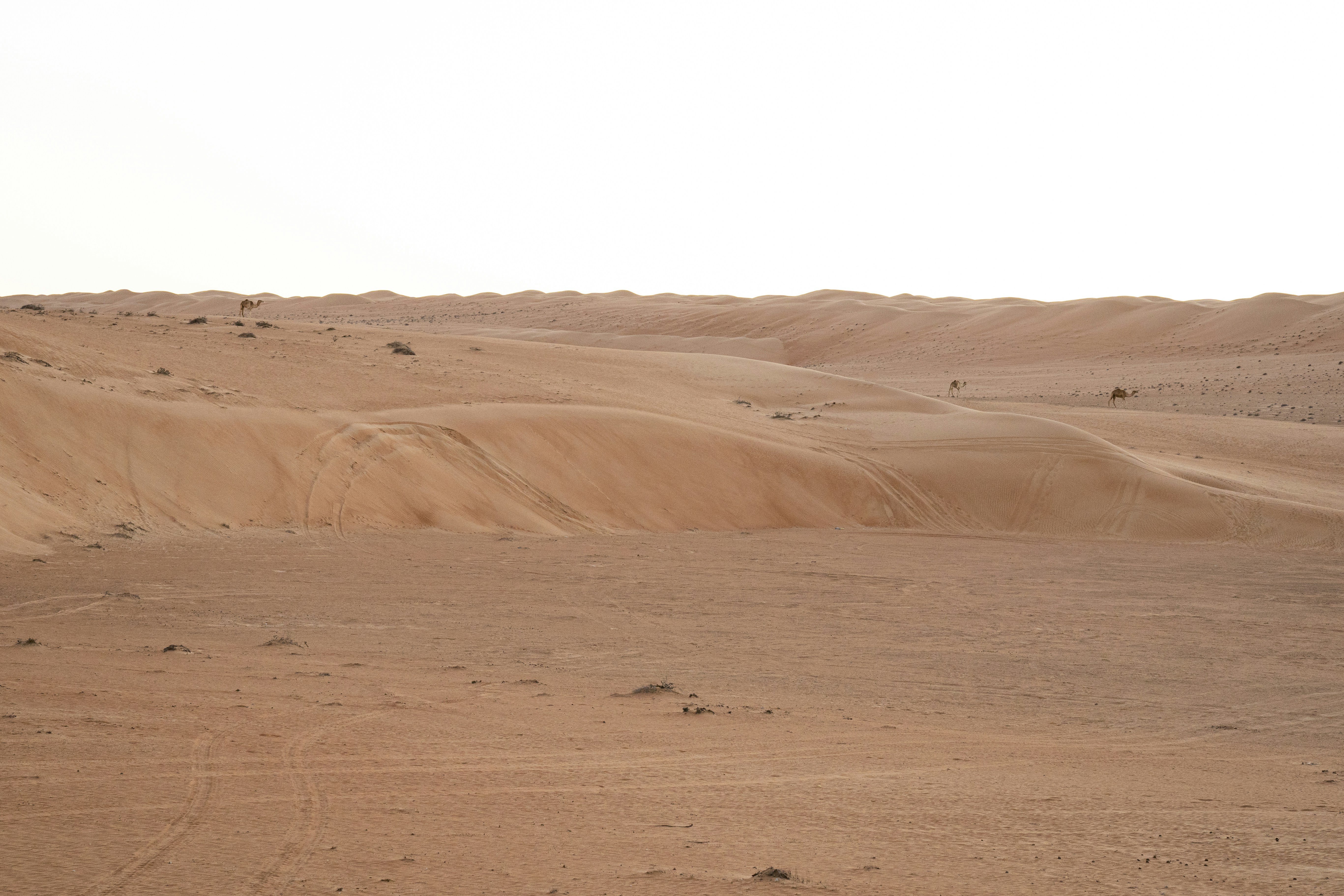 Escape in the desert. Far away from the city within tousand of tons of sand.