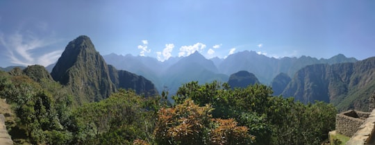green trees and mountains under blue sky during daytime in Machupicchu District Peru