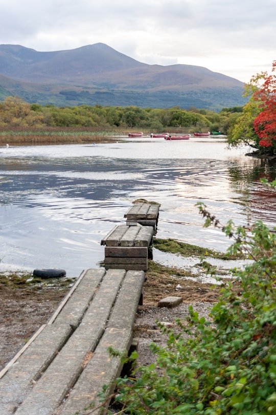 brown wooden dock on lake during daytime in County Kerry Ireland