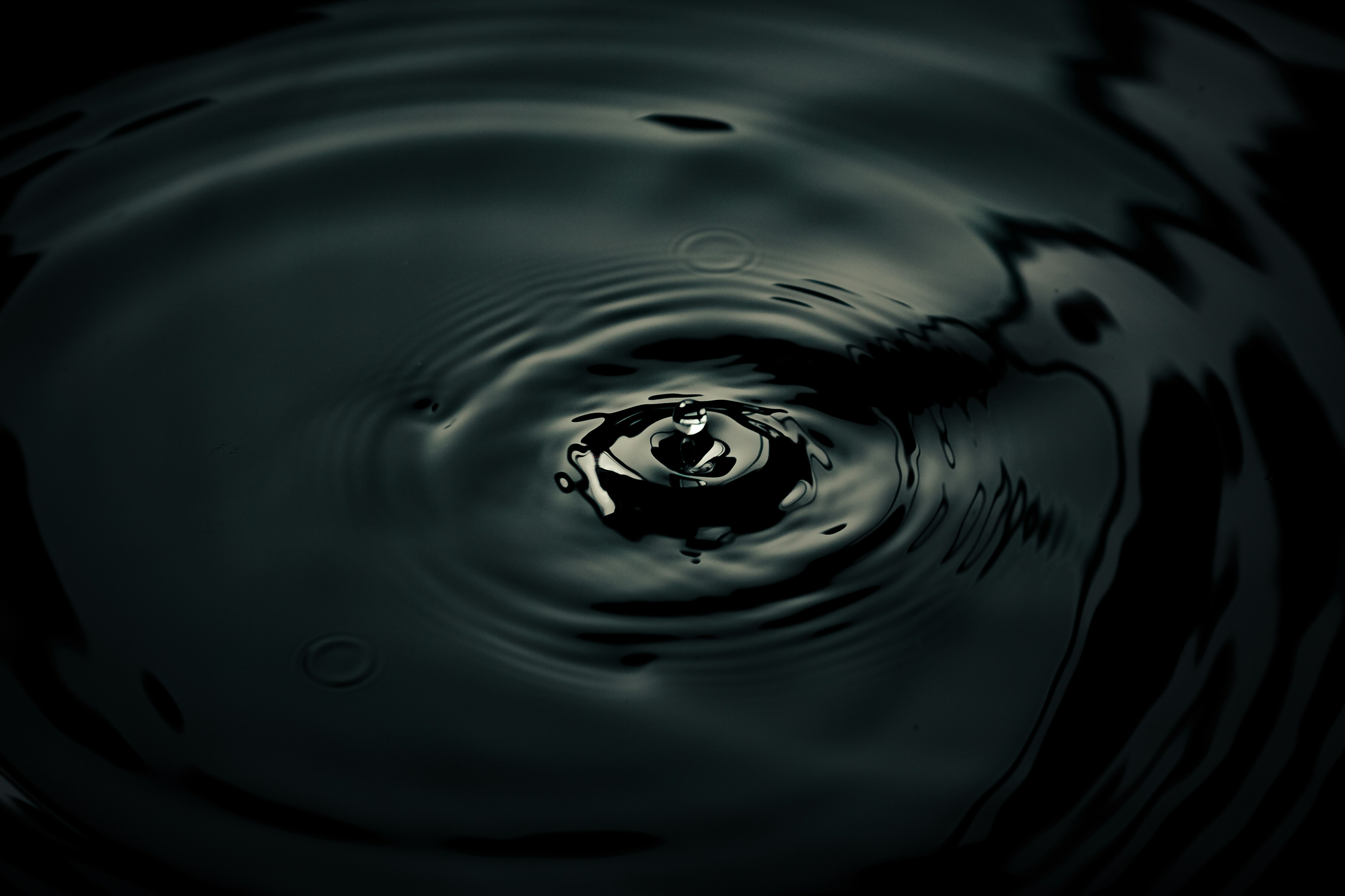 photo-1584886448456-daeda435c742?ixid=M3wxMjA3fDB8MXxzZWFyY2h8MTB8fGRhbnR6YWVkaXQubGlxdWlkbWFwcy5vcmd8ZW58MHx8fHwxNzQ5NzczNzE4fDA\u0026ixlib=rb-4.1.0