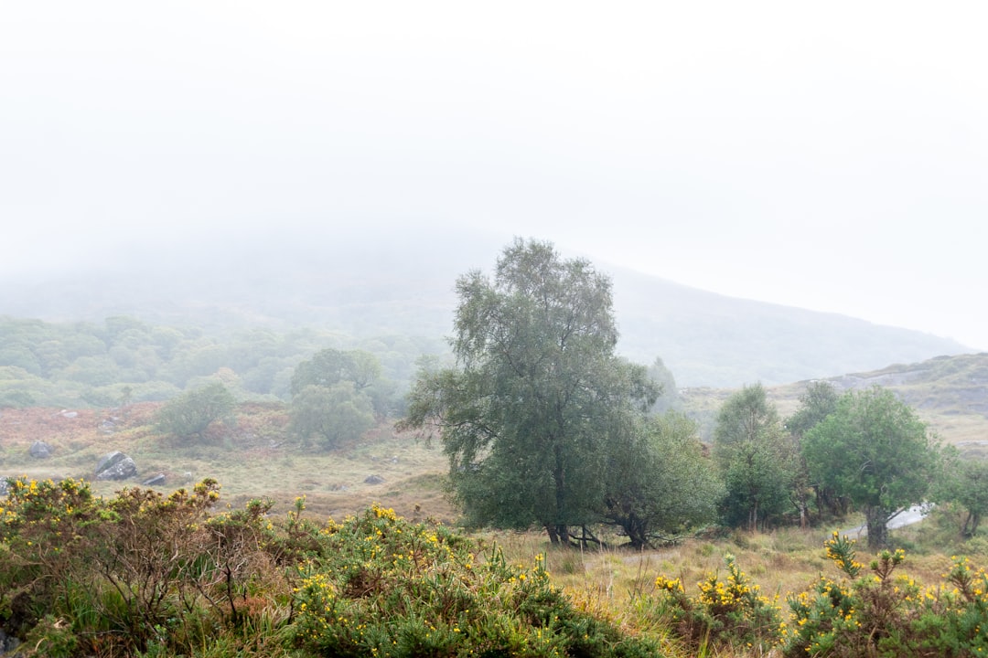 travelers stories about Hill station in County Kerry, Ireland