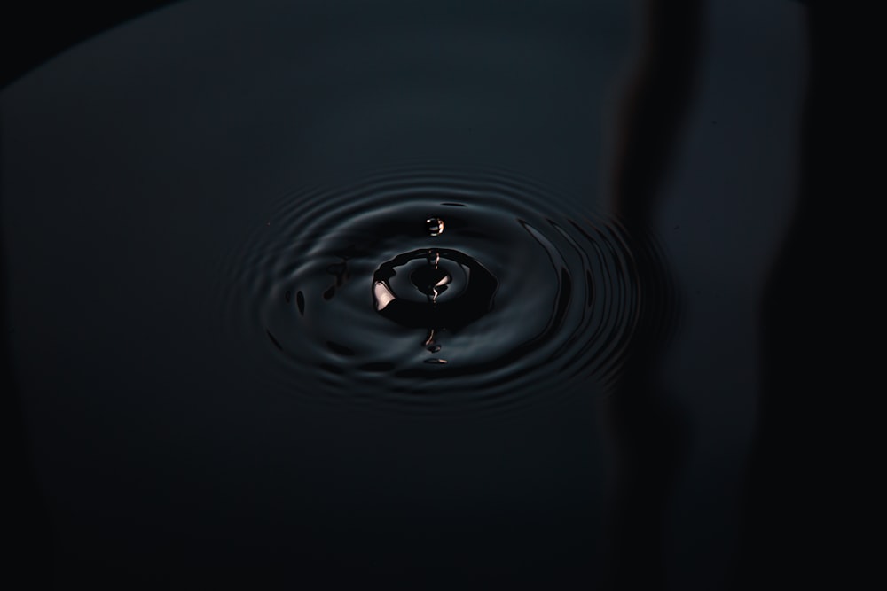 Gota de agua en la fotografía en escala de grises