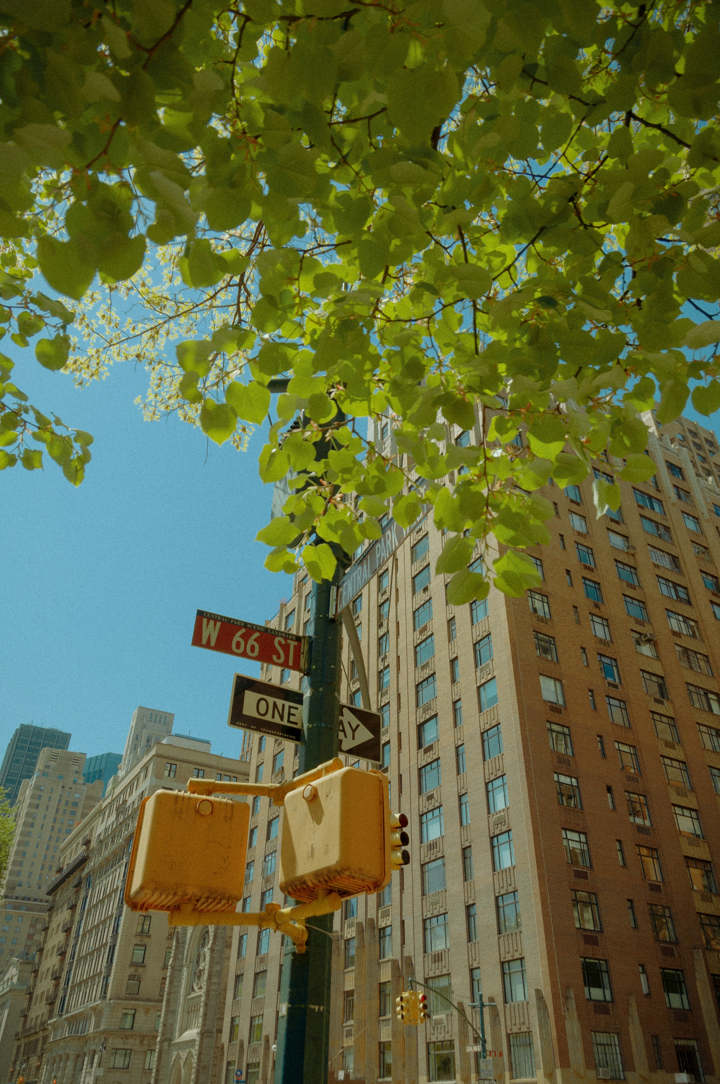 Photo by matteomiliddi