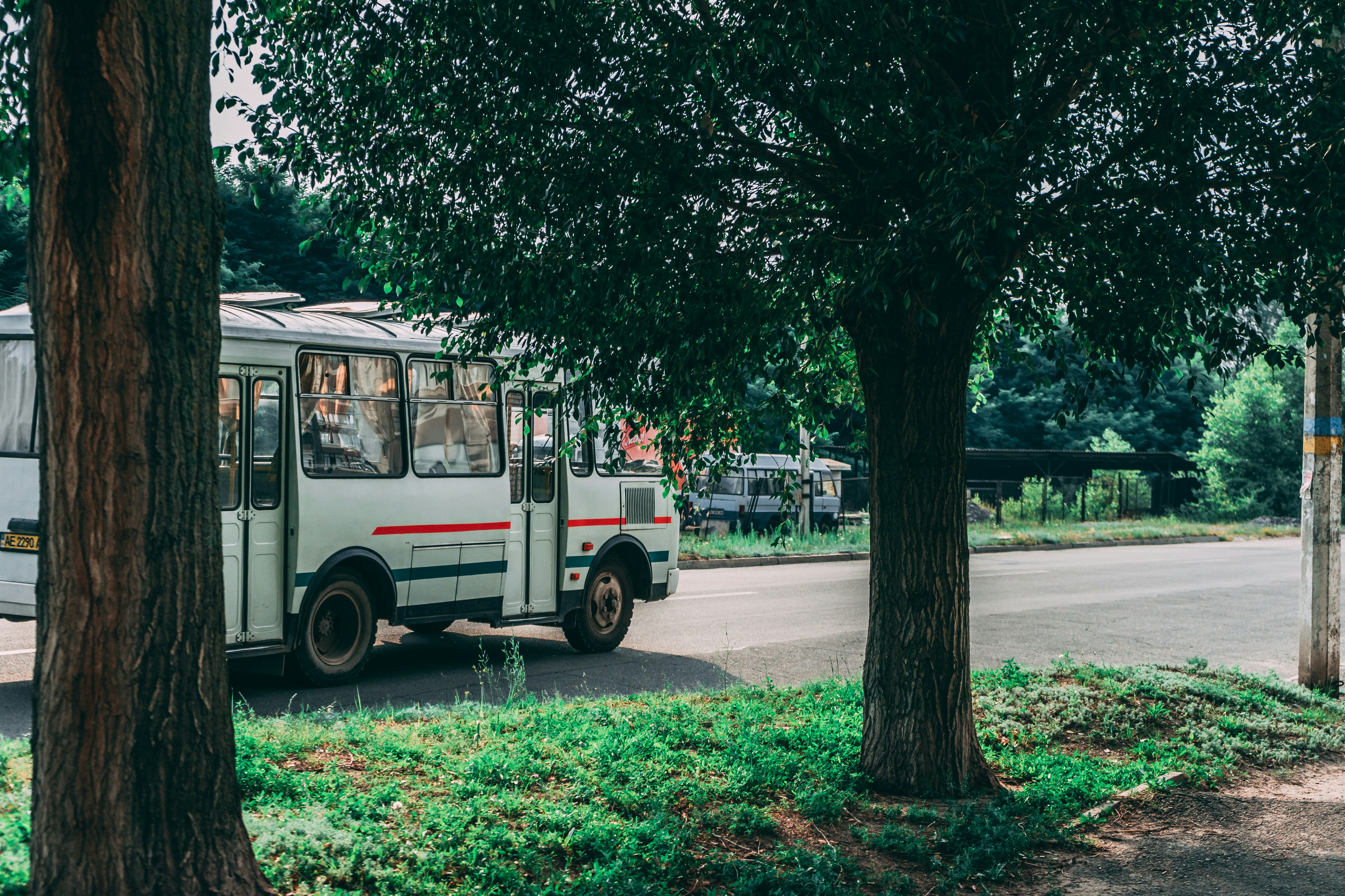 Photo by virussinside