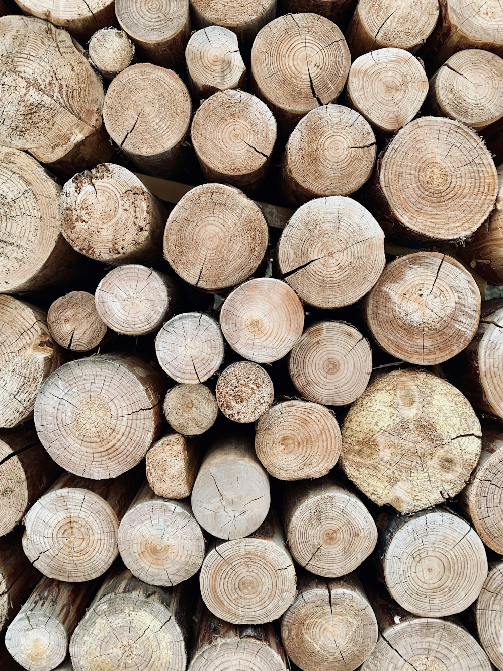 brown wooden logs in close up photography