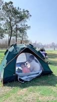 A green tent is set up on grass in a park with a clear blue sky overhead. Inside the tent, a child wearing a pink top and an adult are sitting on a blanket. Nearby, there is a baby stroller. Tall trees and a view of a city skyline in the background add to the scenic outdoor setting.