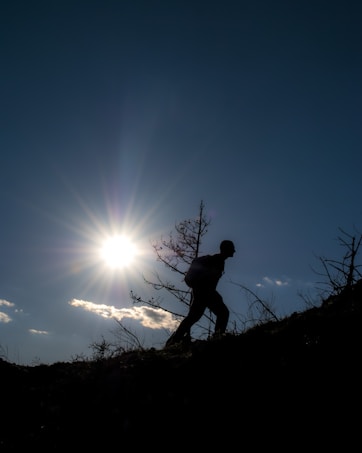 A silhouette of a person walking uphill with a backpack against the backdrop of a bright sun in a clear blue sky. The scene includes a lone tree and some low vegetation.