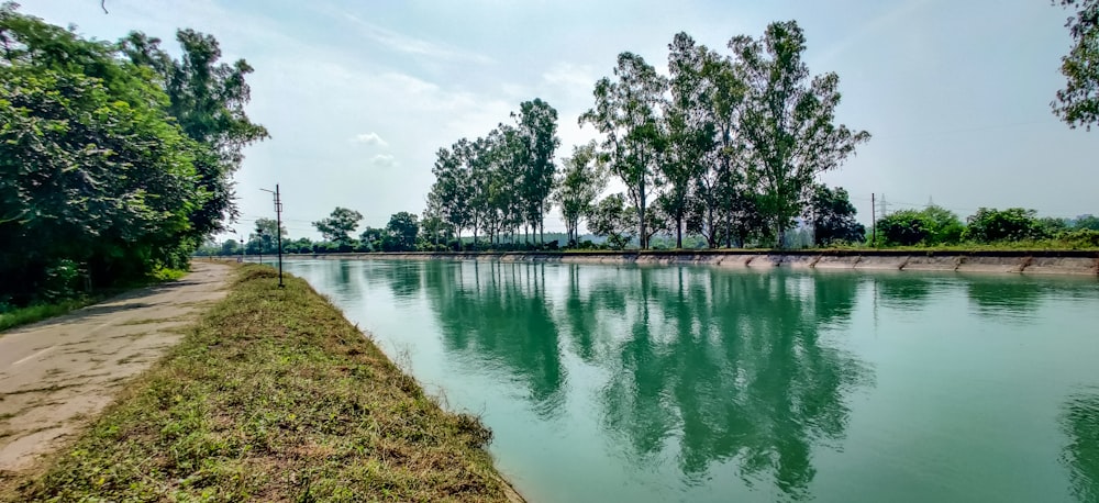 alberi verdi accanto al fiume sotto nuvole bianche durante il giorno