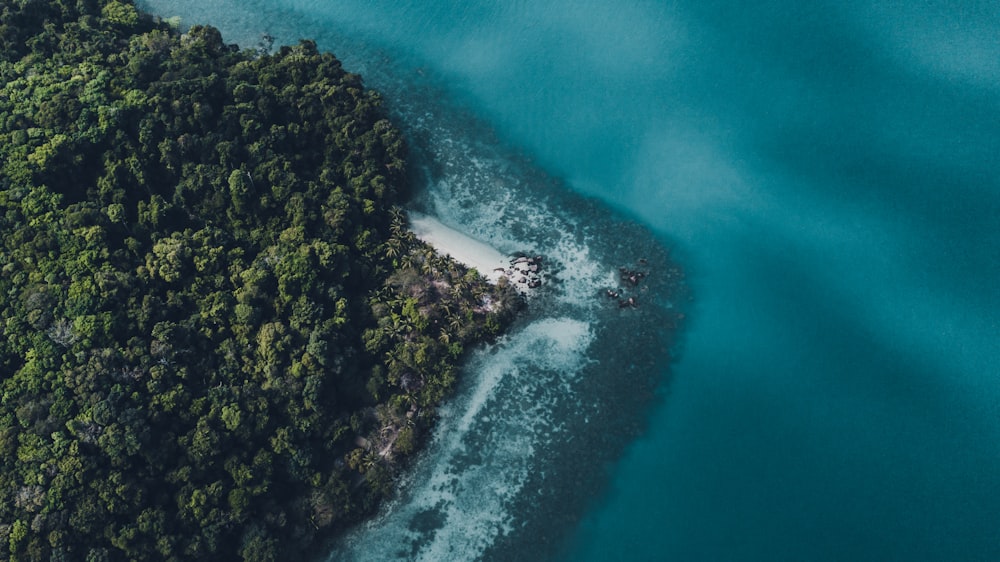 aerial view of green trees and blue sea during daytime