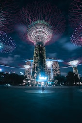 purple and blue lights on park during night time