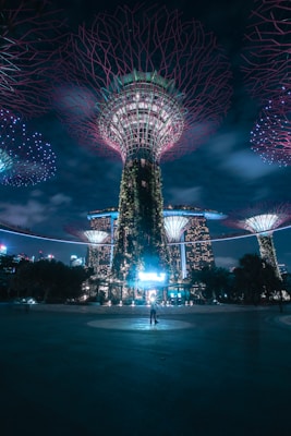 purple and blue lights on park during night time