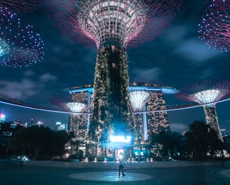 purple and blue lights on park during night time