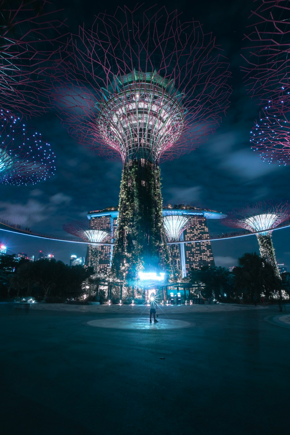 夜間の公園の紫と青のライト