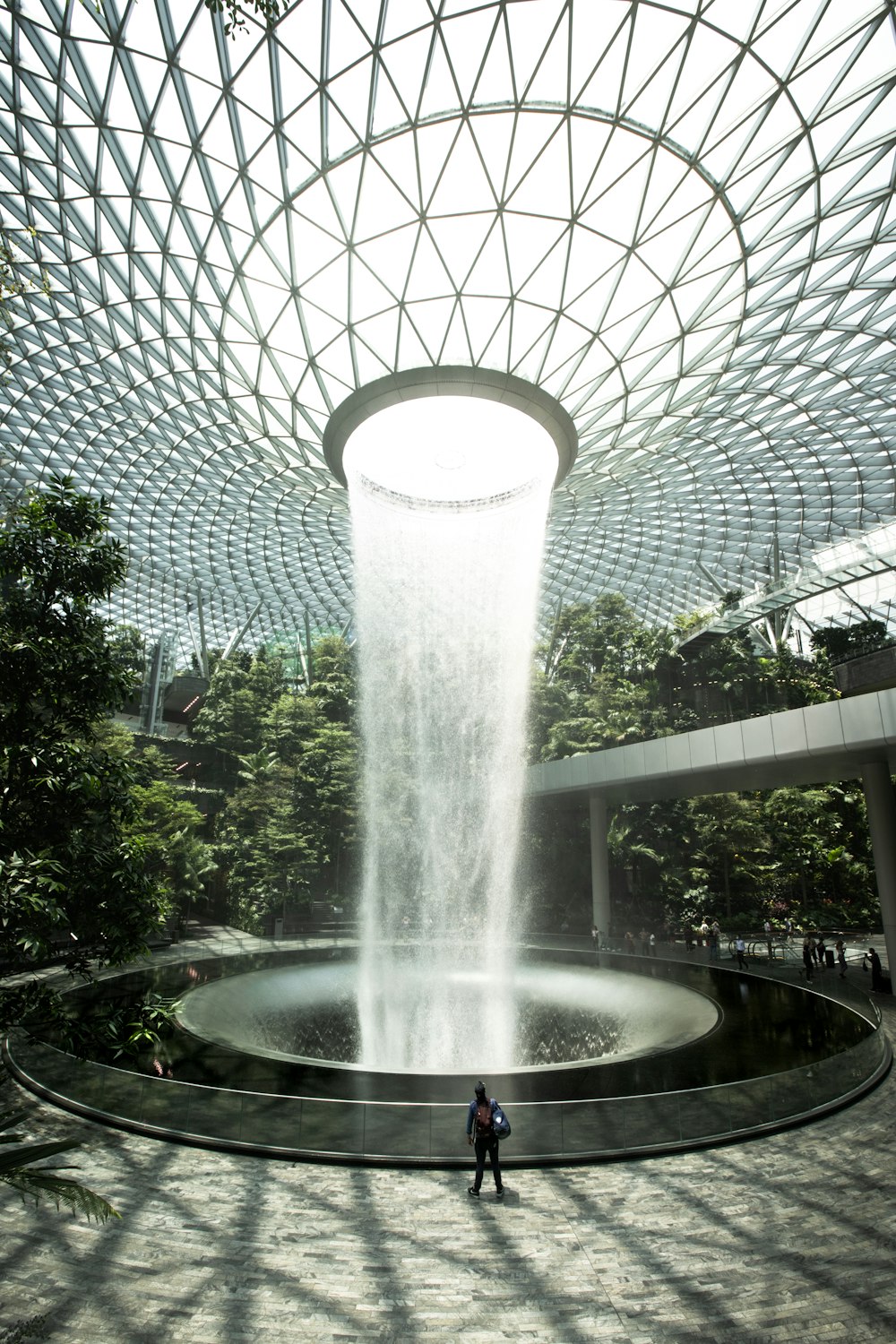 water fountain in the middle of green trees