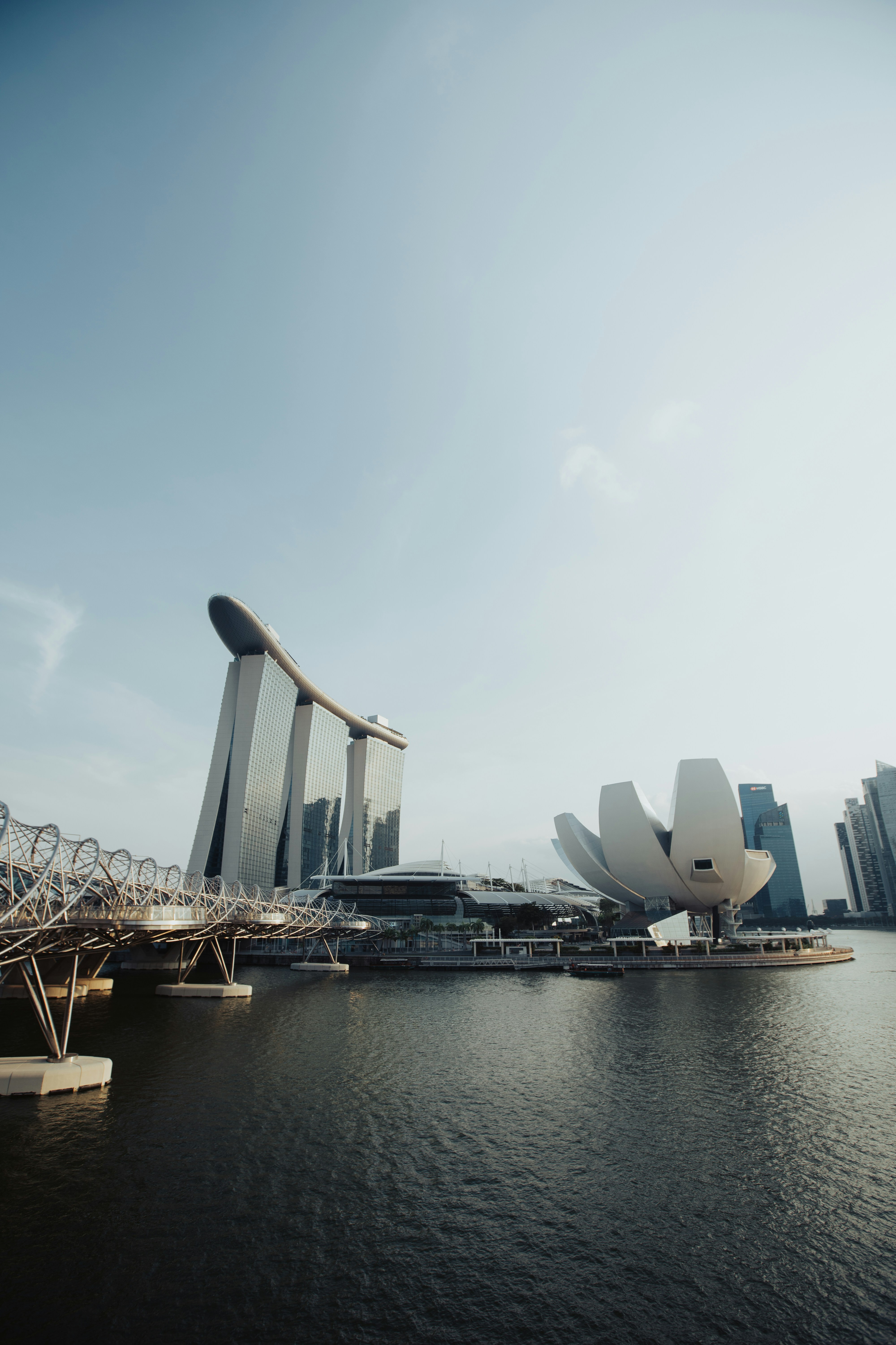 Why Writing Systems Differ: The Evolution of Visual Language