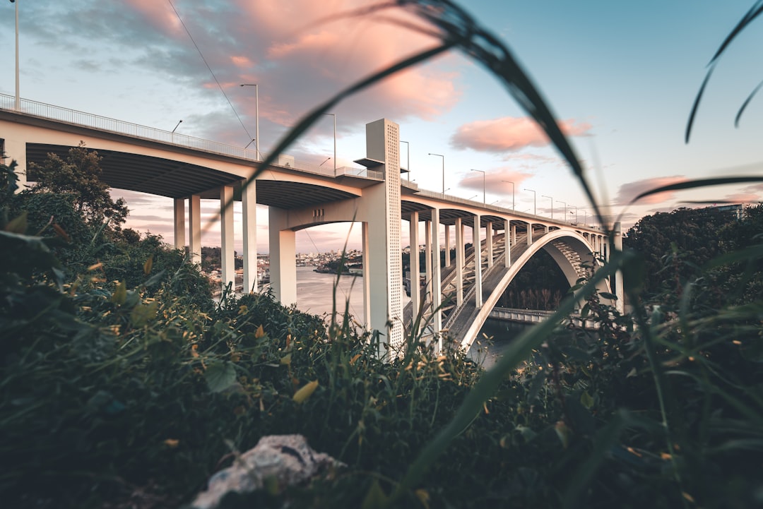 green grass near gray concrete bridge during daytime