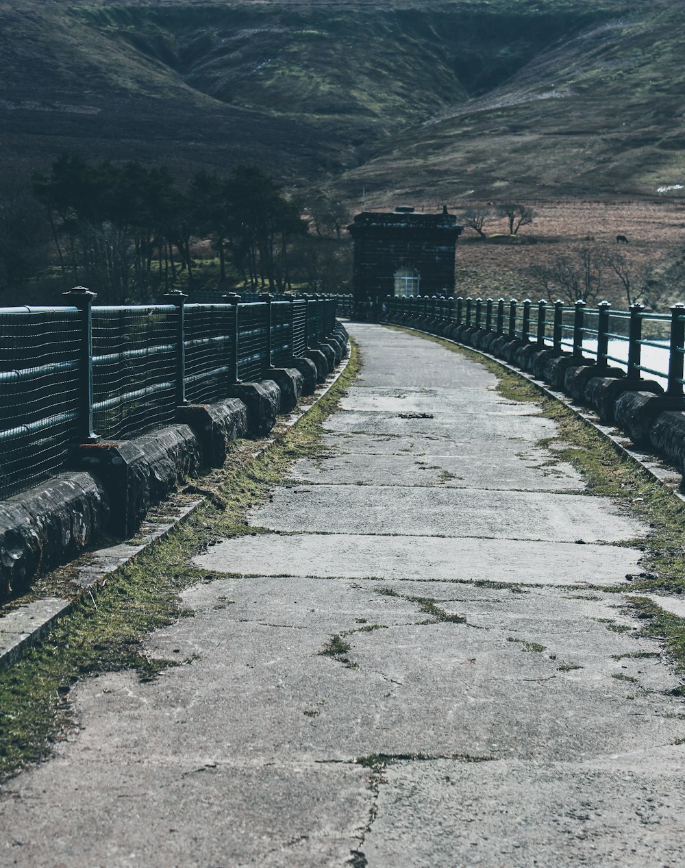 gray concrete road with gray metal fence