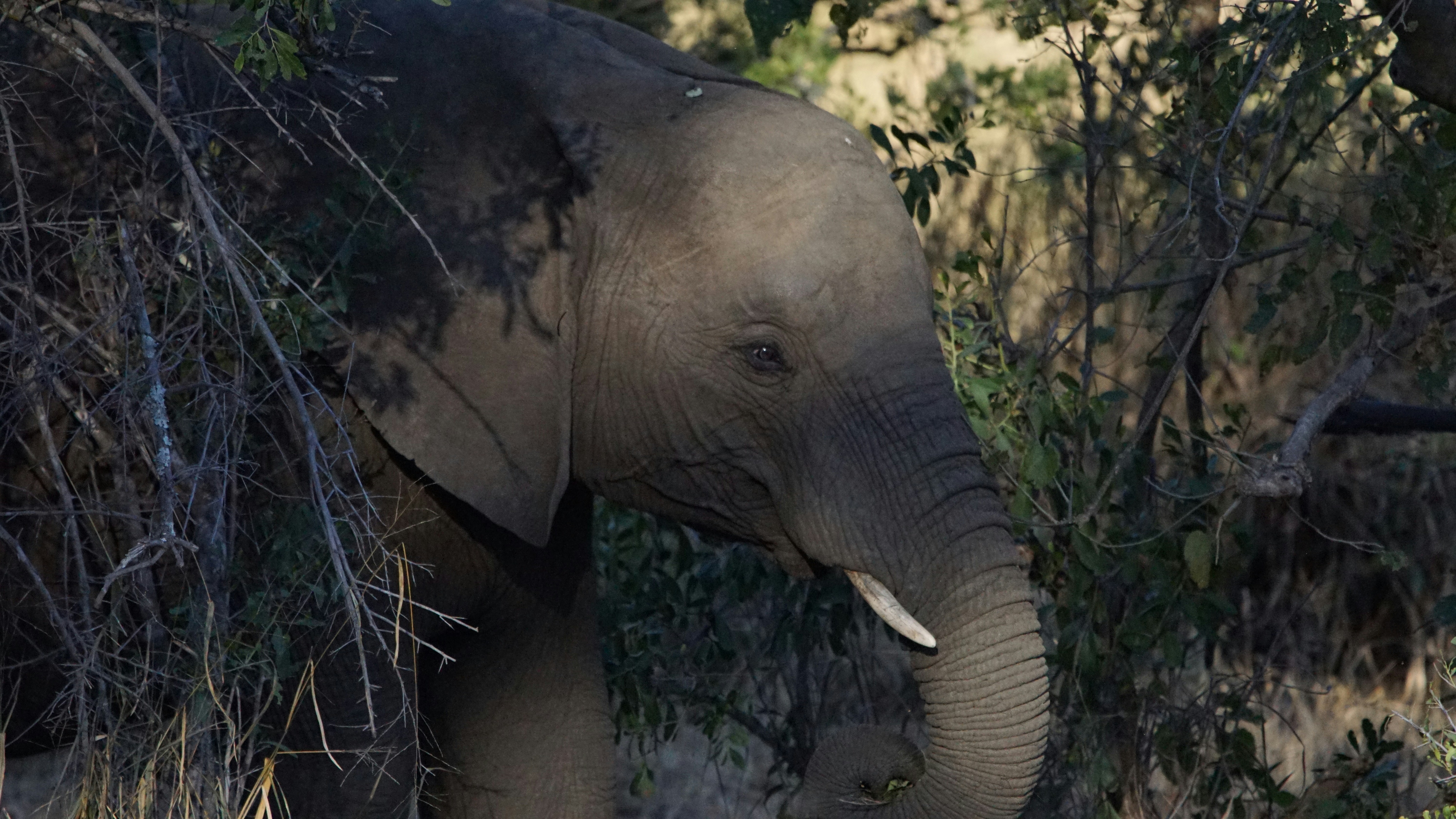 Photo by christian_linnemann