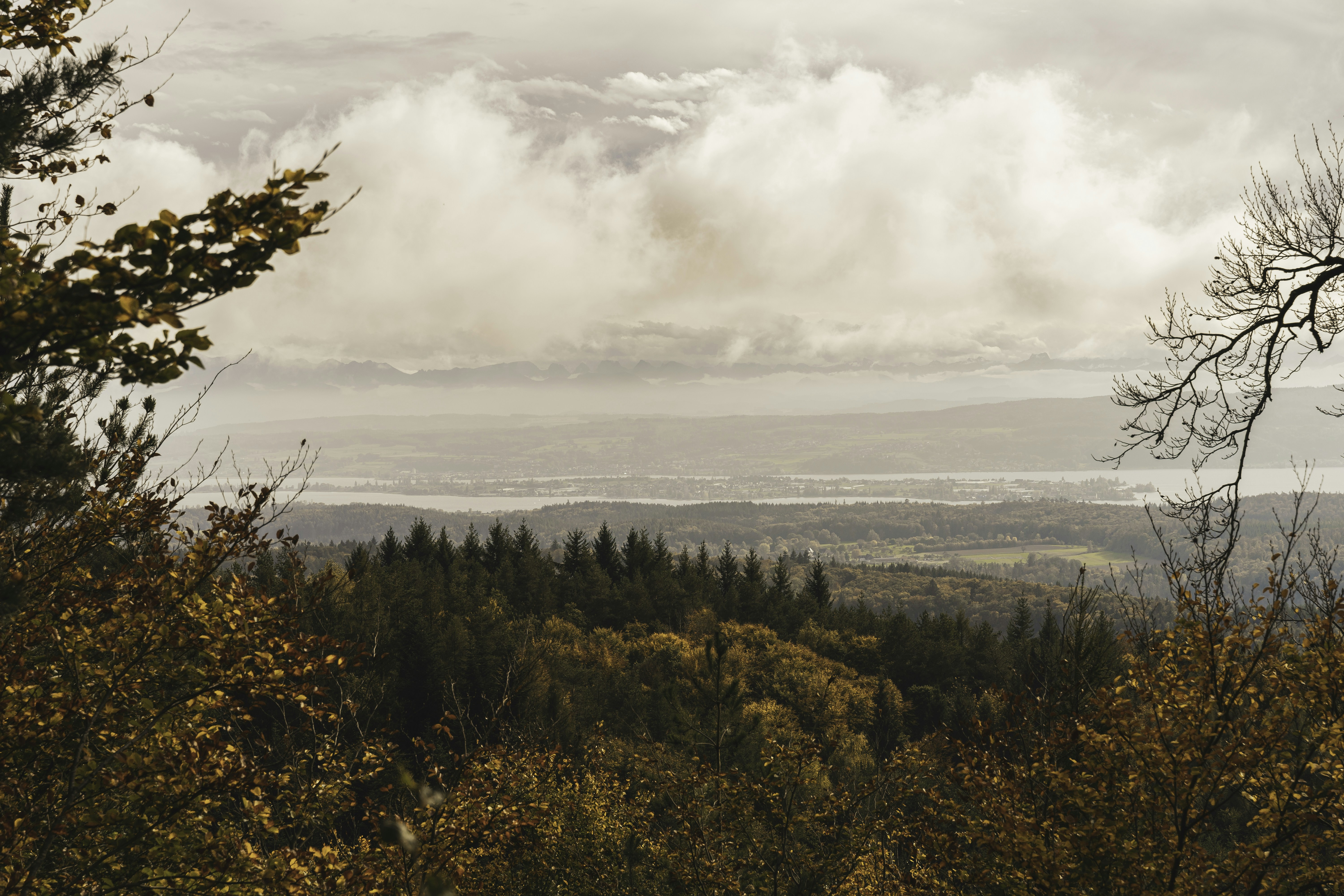 Photo by marcoschweizer