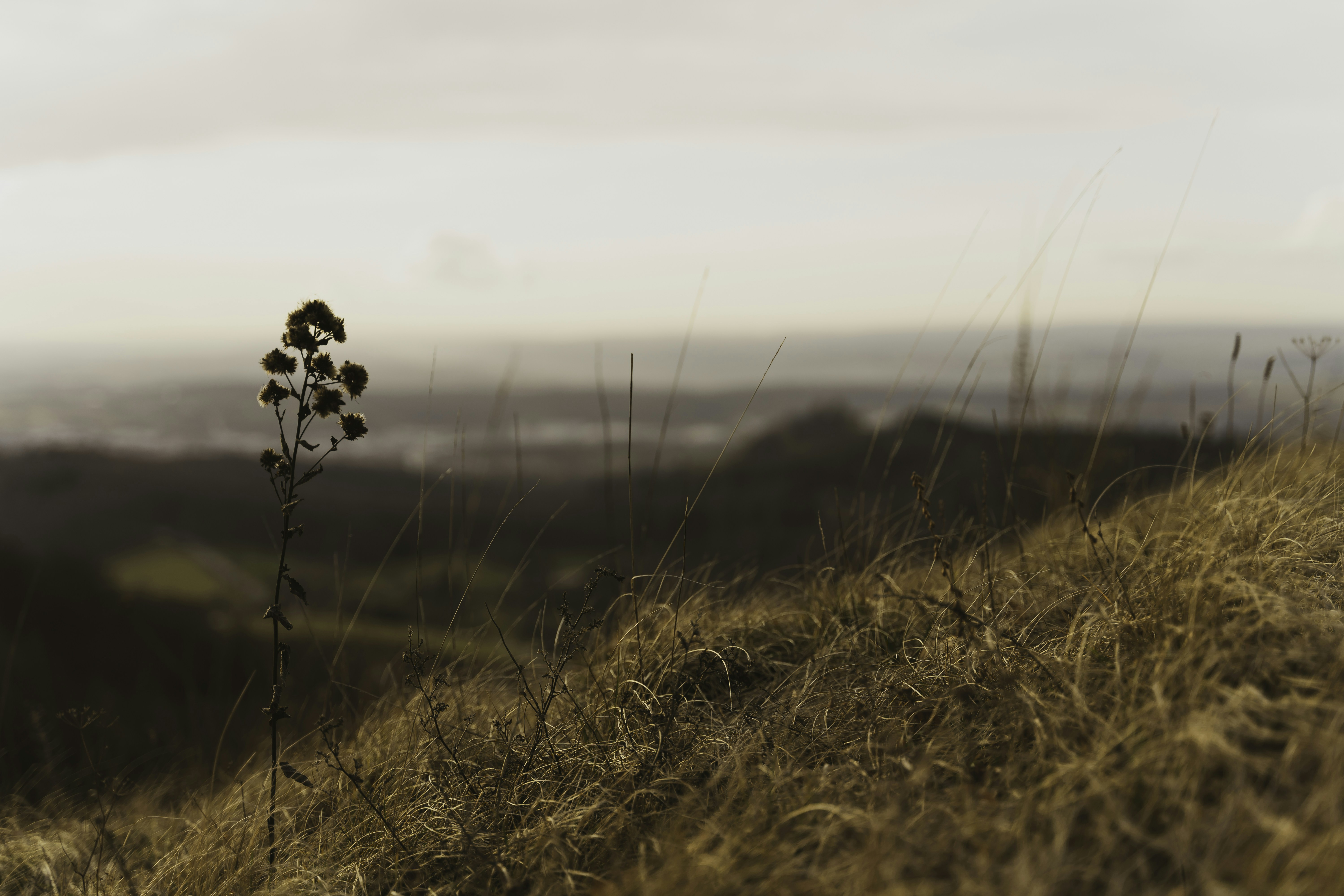 Photo by marcoschweizer