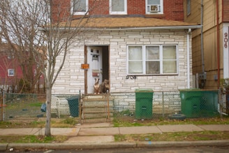 A small, urban house with a brick facade and a front door where two dogs are sitting, possibly guarding the entrance. There is a 'Beware of the Dog' sign on the door. The front yard is enclosed with a wire fence, and there are two green trash bins near the entrance. A bare tree is visible on the left side, and the surrounding area appears to be a residential neighborhood.