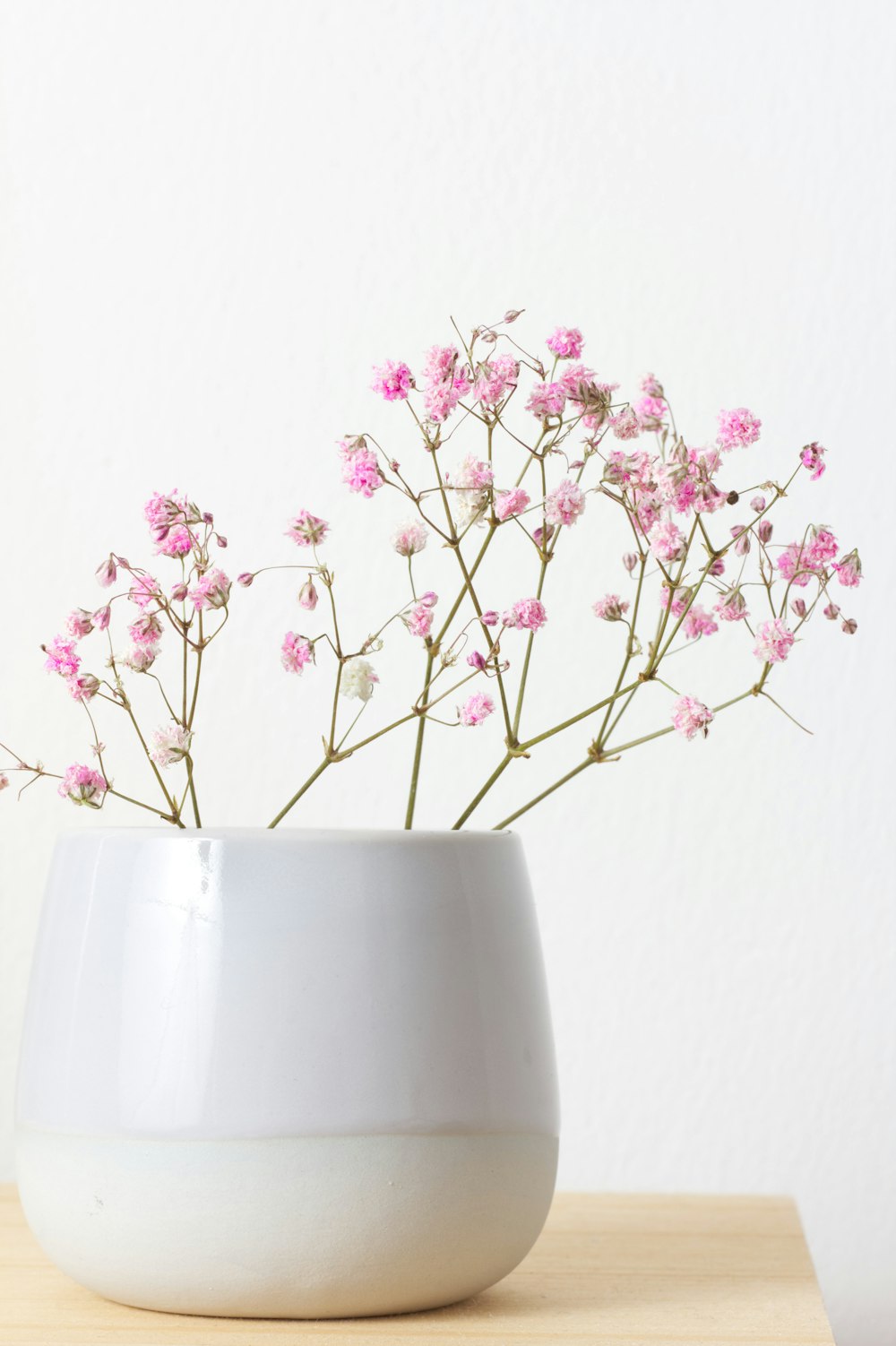 pink flowers in white ceramic vase