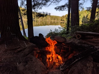 A campfire burns brightly surrounded by large stones in a forest setting. Tall trees stand around a calm lake reflecting the surrounding greenery, creating a serene and natural atmosphere. A metal grill and wooden log are visible nearby, suggesting a campsite.