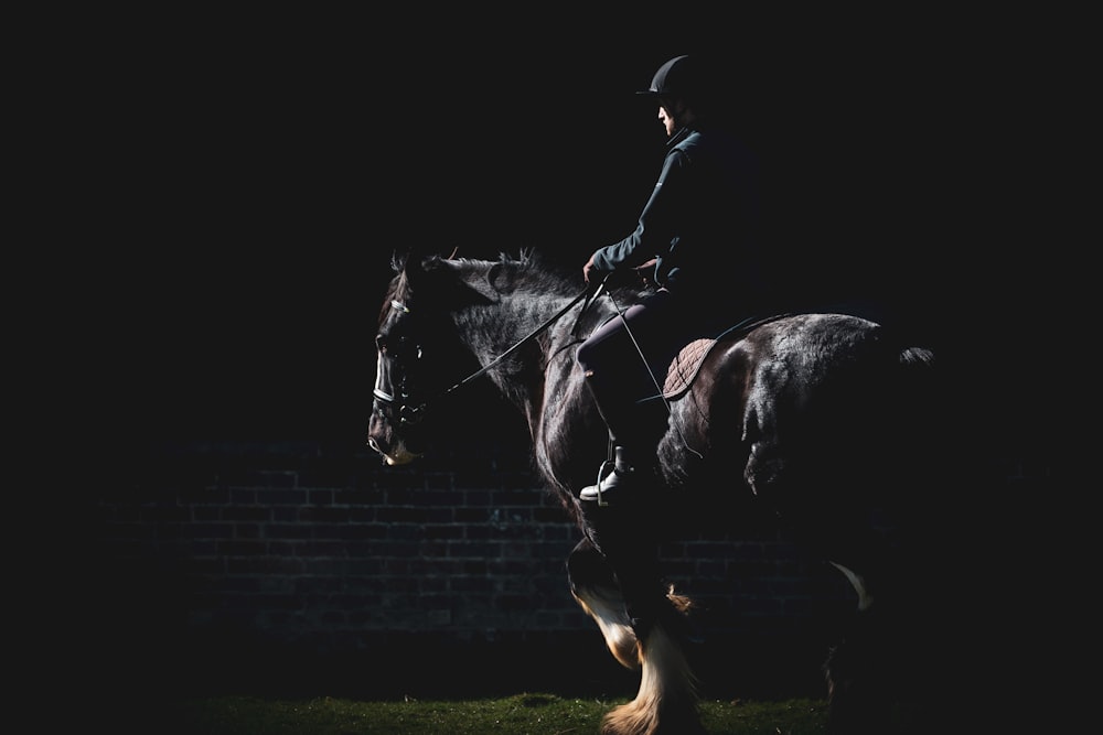 cheval noir sur le champ d’herbe verte pendant la journée