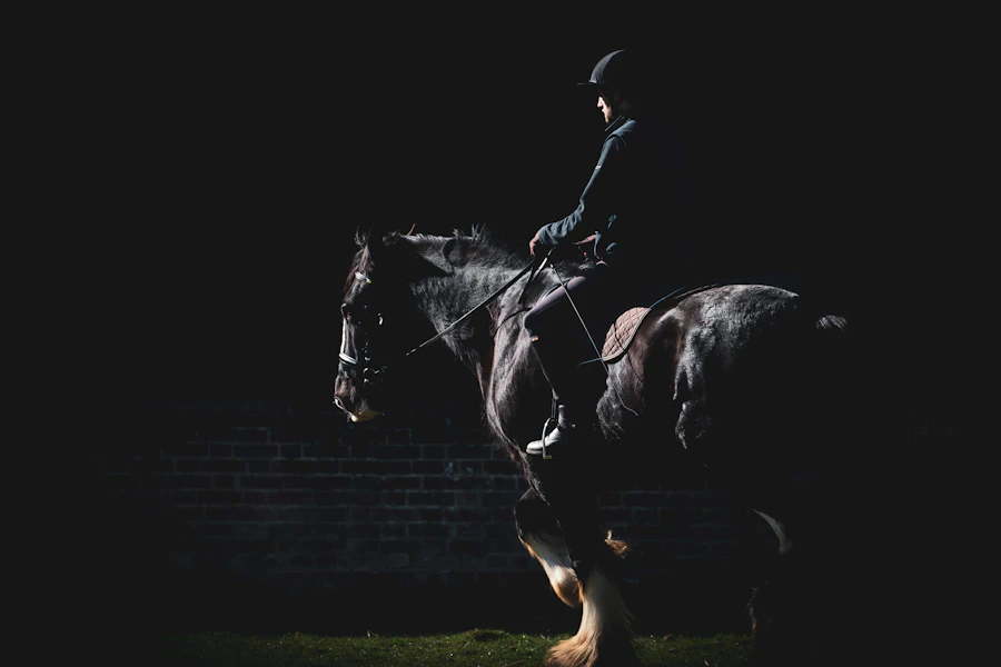 Cheval noir dans le pré au lever du soleil
