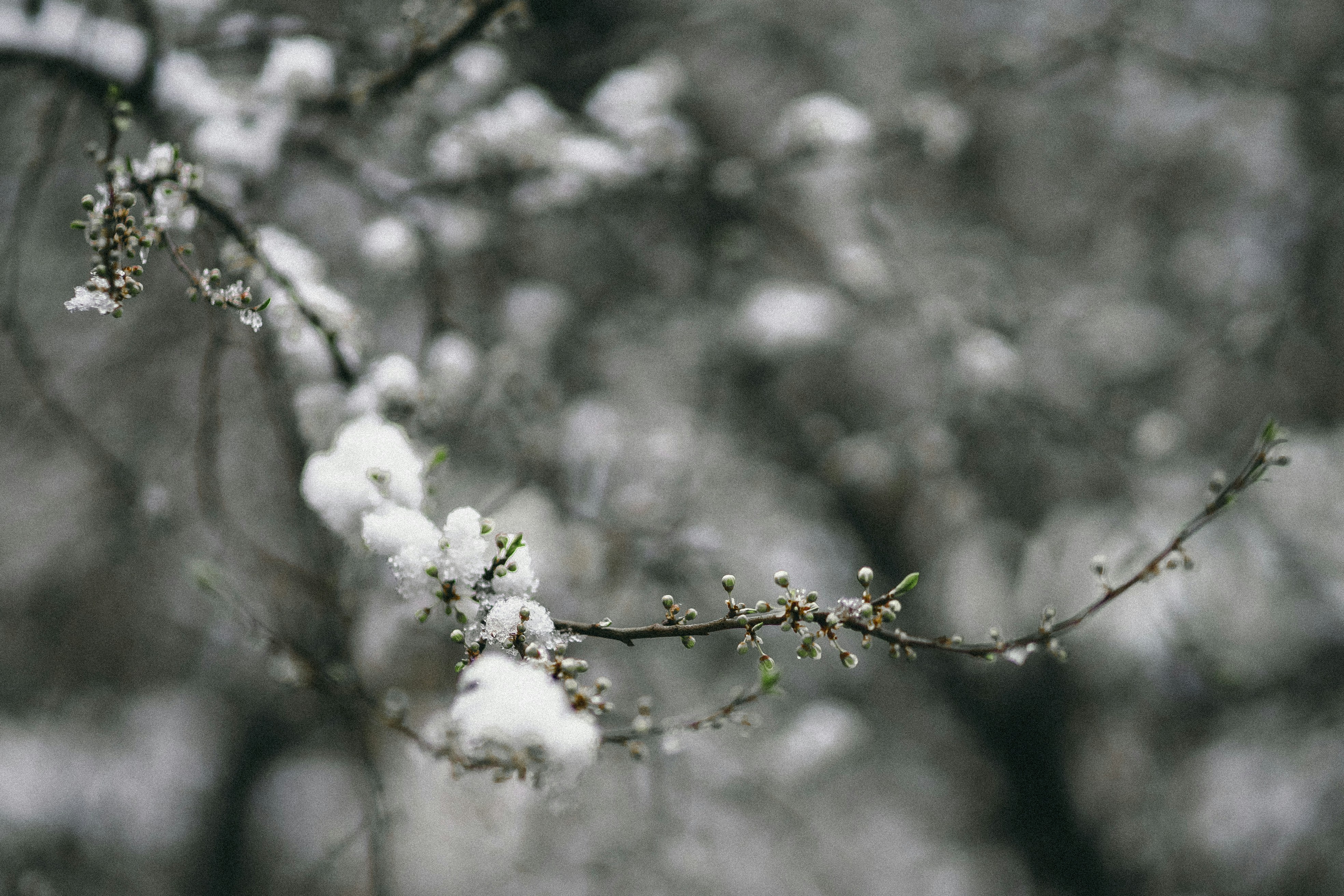 Photo by eugenechystiakov